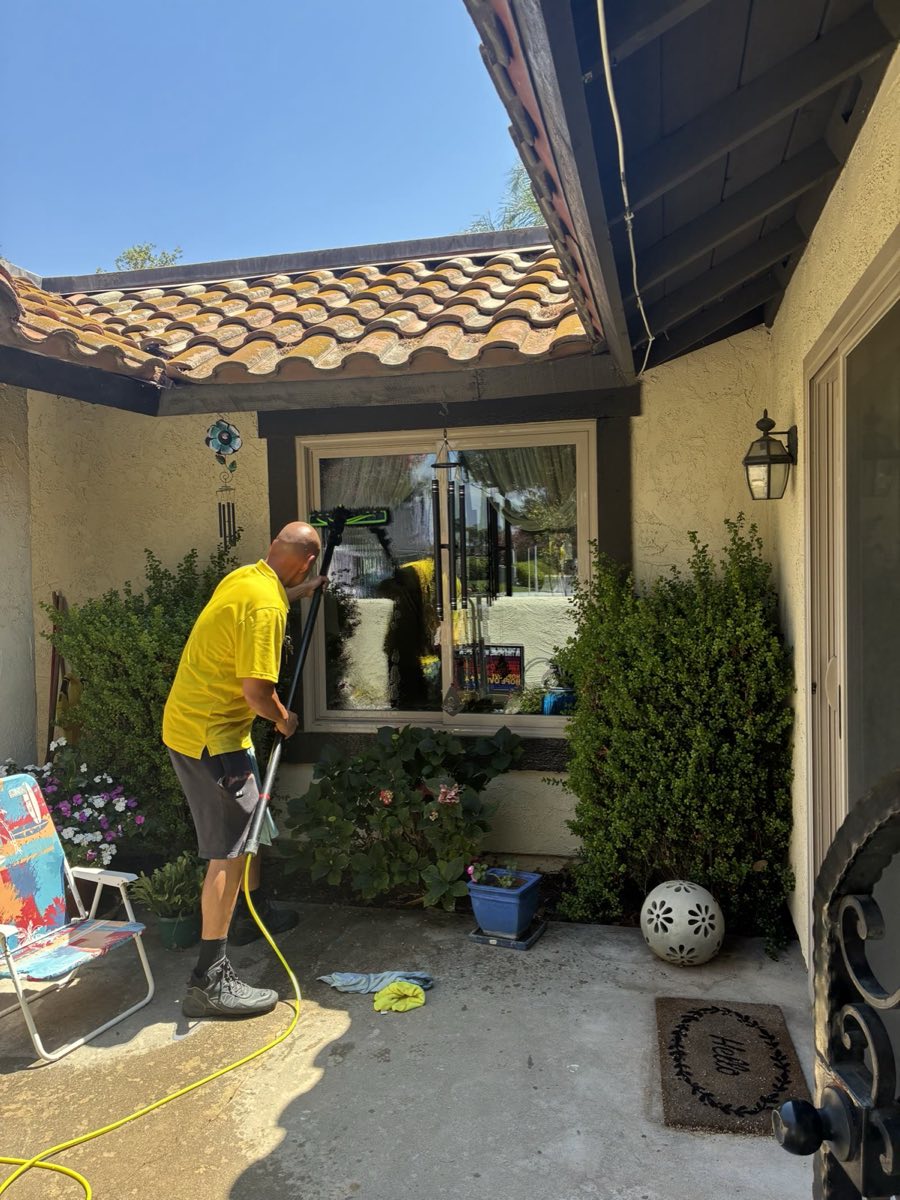 Professional window cleaning in progress